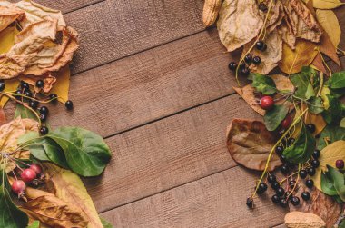 Parlak sonbahar yaprak çerçeve