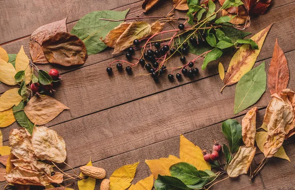 Frame of bright autumn leaves on the boards — Stock Photo, Image