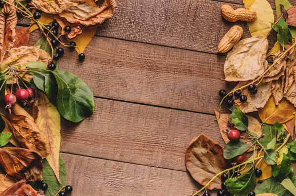 Frame of bright autumn leaves on the boards with a blank page and red apple — Stock Photo, Image