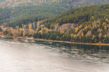 Sonbahar manzara, altın orman, nehir, bulutlu gün