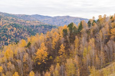 Rusya, Syberia bulutlu bir sonbahar gününde dağ manzarası