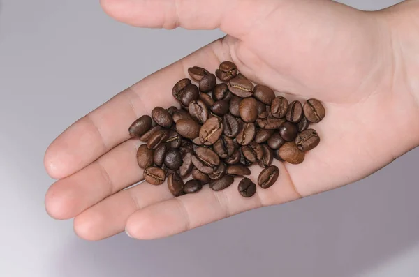 Coffee Beans Palm Light Background Top View — Stock Photo, Image