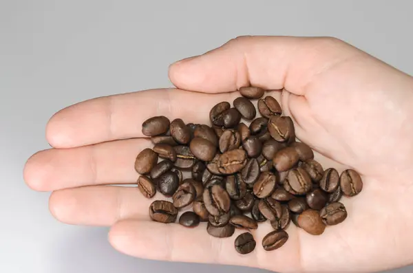 Coffee Beans Palm Light Background Top View — Stock Photo, Image