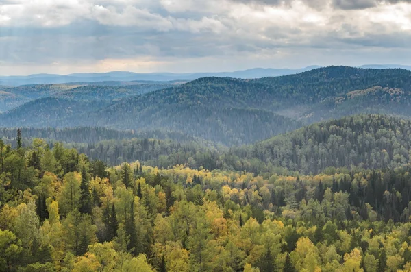 Paisaje Dorado Otoño Las Montañas Siberia Rusia — Foto de Stock