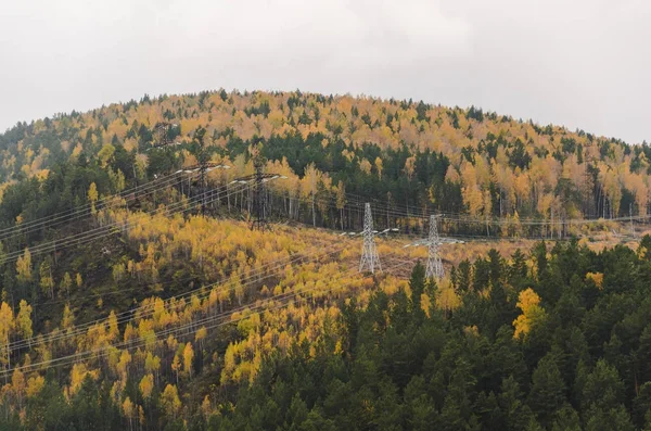 Herfst Landschap Gouden Bomen — Stockfoto