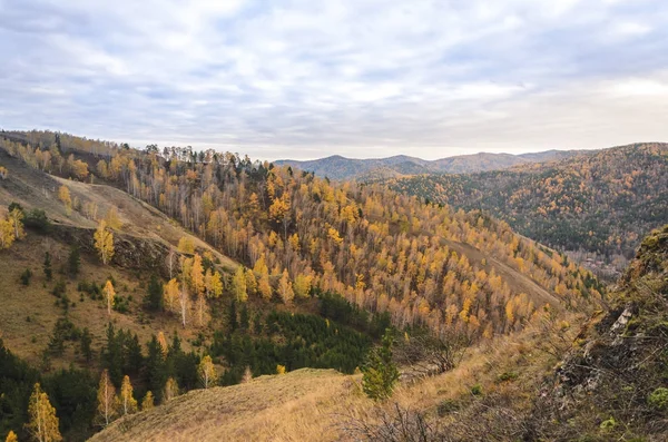 Horská Krajina Zamračený Podzimní Den Rusku Syberia — Stock fotografie
