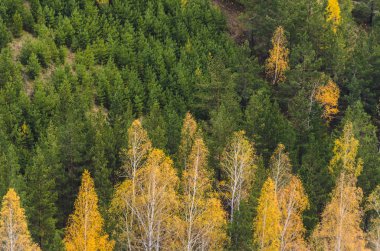 Rusya, Syberia bulutlu bir sonbahar gününde dağ manzarası