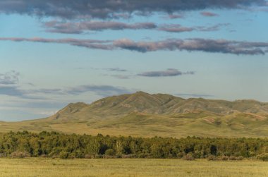 Güneşli yaz manzara, hills, orman, mavi gökyüzü.