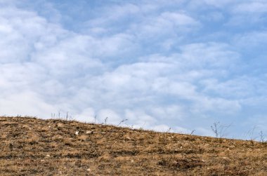 Yamaç, solmuş çim bir arka plan üzerinde bulutlar, metin için boş alan