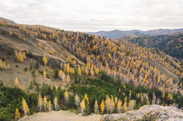 Horská Krajina Zamračený Podzimní Den Rusku Syberia — Stock fotografie