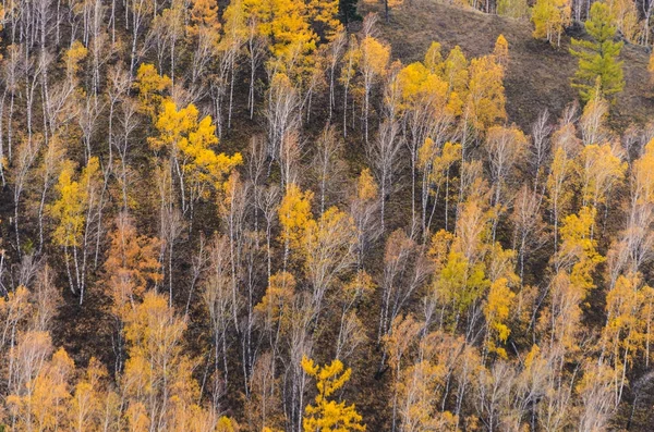 Paysage Montagneux Par Une Journée Nuageuse Automne Russie Sybérie — Photo