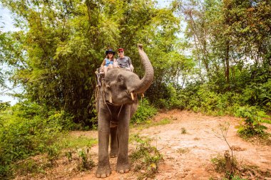 Turistler üzerinde filler ormanın içinden biniyor
