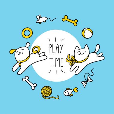 Küçük kedi ve köpeği