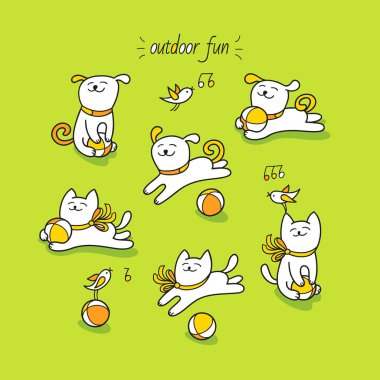 Küçük beyaz kedi ve köpek