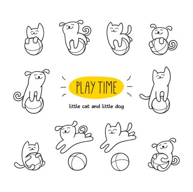 Küçük kedi ve köpek oyuncak oynuyorlar 