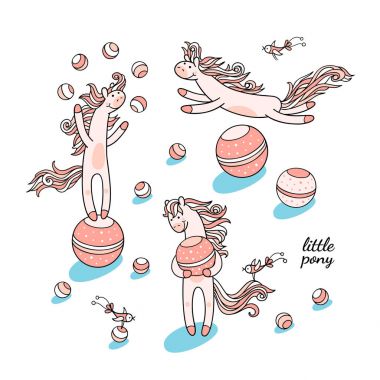 midilli ve küçük komik cennet kuşları 