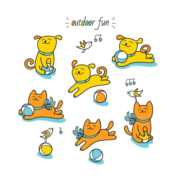 zencefil kedi ve sarı köpek yavrusu