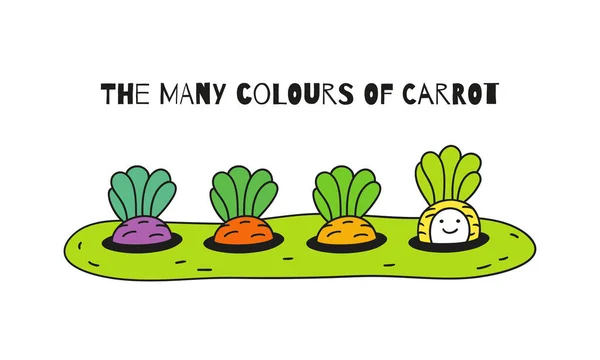 Bébé carottes en différentes couleurs — Image vectorielle