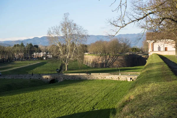 中世の要塞壁 イタリアからルッカ市の眺め — ストック写真