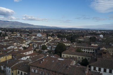 Bakış açısı üst kısmında Torre Guinigi, Lucca, İtalya