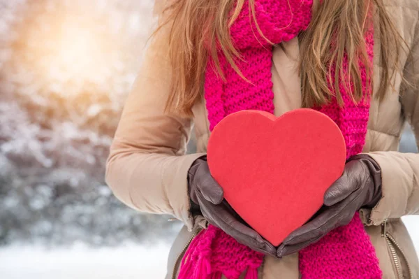Vintern hjärta valentine — Stockfoto