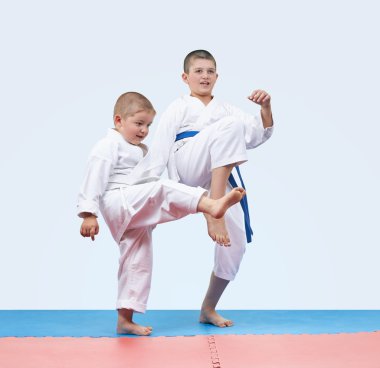 Kardeşler sporcular tekme bacak dayak