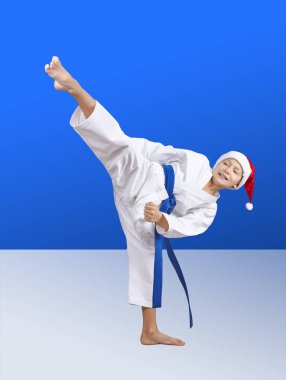 Karateka yüksek cezaevi tekme vurur