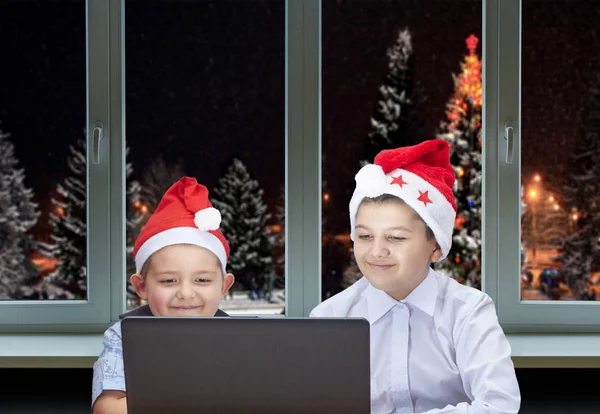 Brüder schauen vor dem Fenster auf einen Laptop vor dem Hintergrund schneebedeckter Weihnachtsbäume — Stockfoto