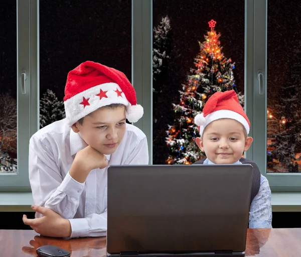 Niños con interés mirando un portátil en el fondo de árboles de Navidad cubiertos de nieve fuera de la ventana — Foto de Stock