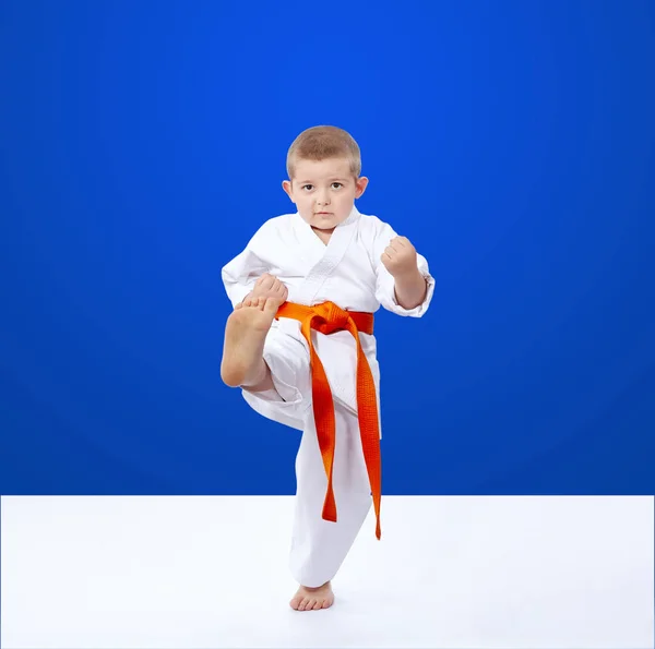 Karateka hits a kick on a blue background — Stock Photo, Image