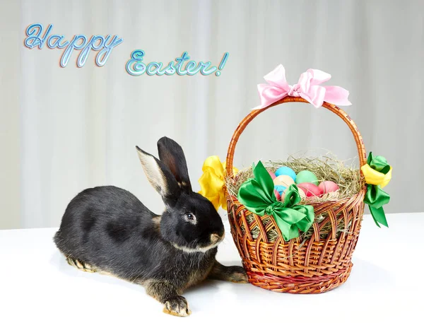 Easter bunny and easter basket on light background