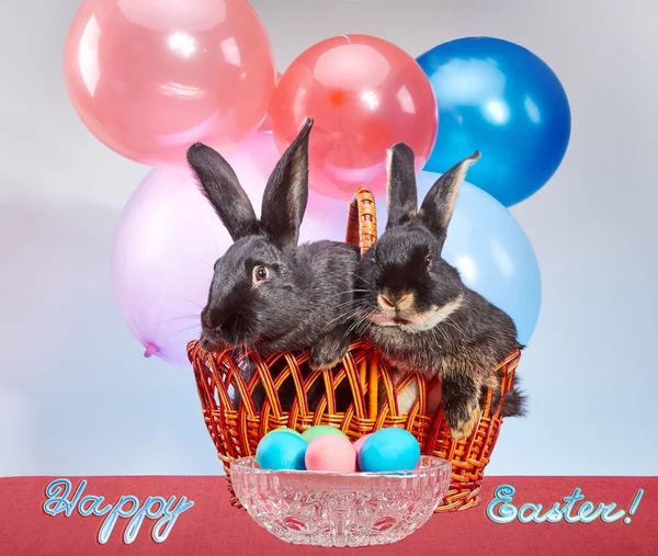 Two rabbits in an Easter basket near a bowl with eggs