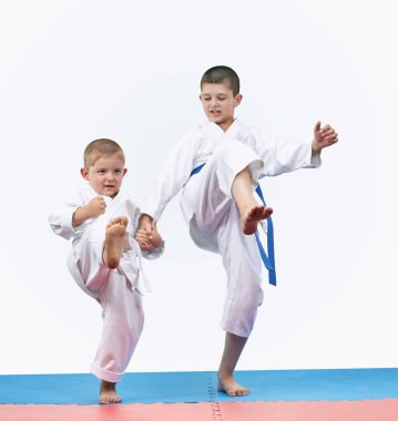 Sporcular kardeşler tekme bacak ileri dayak