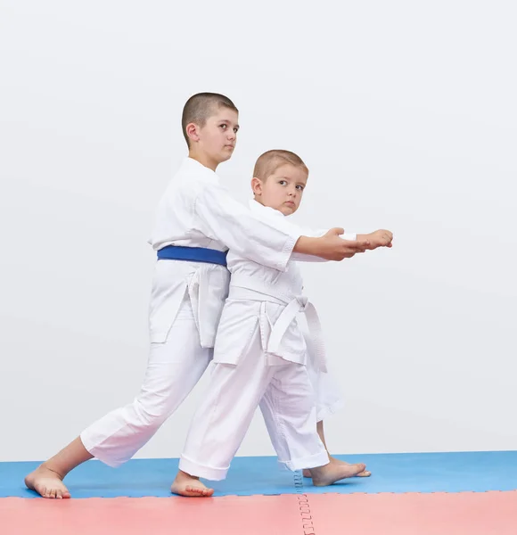 Tatami Older Brother Trains Younger — Stock Photo, Image