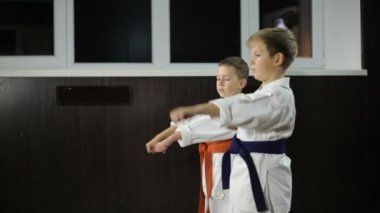 Karate duruşunda, çocuklar yumruk atar.