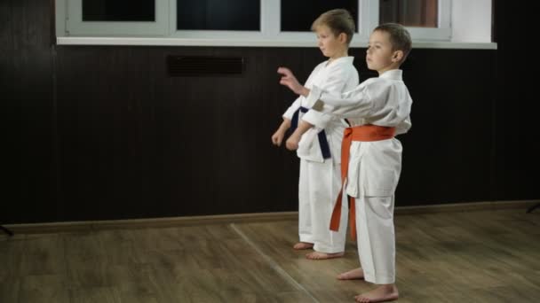 Kinder Erwachsenenalter Trainieren Schläge Der Karate Haltung — Stockvideo