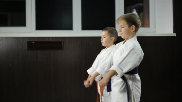 Niños Karategi Entrenar Patadas Karate — Vídeo de stock