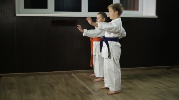 Karatéban Gyerekek Gyakorolják Karate Rúgásokat — Stock videók