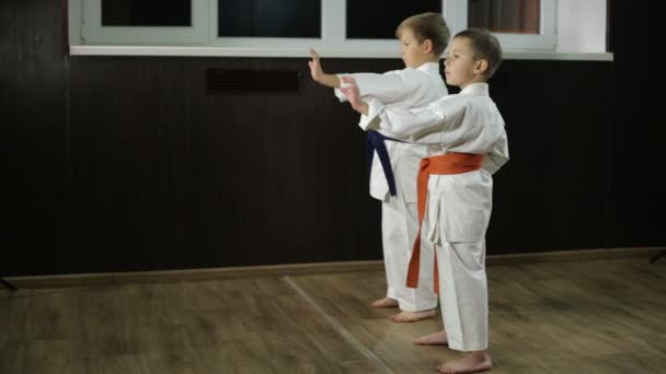 Los Chicos Están Haciendo Golpes Manos Rack Karate — Vídeos de Stock