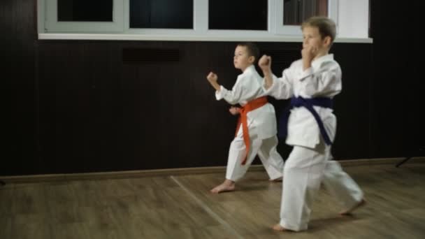 Jongens Het Rek Van Karate Slaan Met Hun Benen — Stockvideo