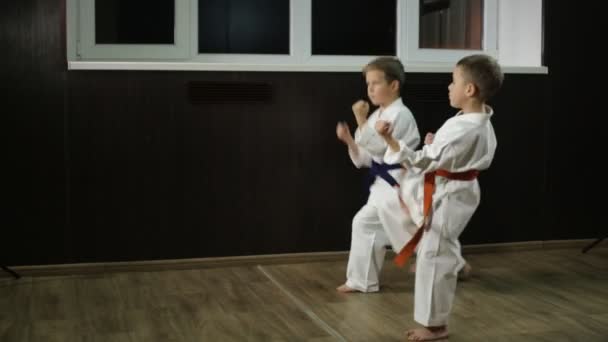 Karategi Ragazzi Atleti Allenano Calci — Video Stock