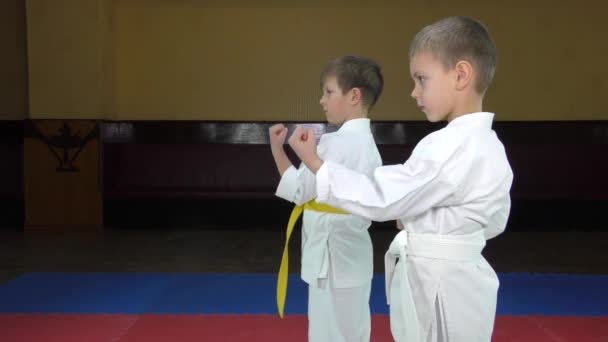 Enfants Debout Sur Rouge Bleu Tatami Bat Coup Poing — Video