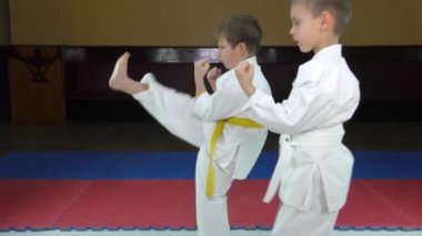 İki sporcu kırmızı ve mavi tatamiyi tekmeliyor.