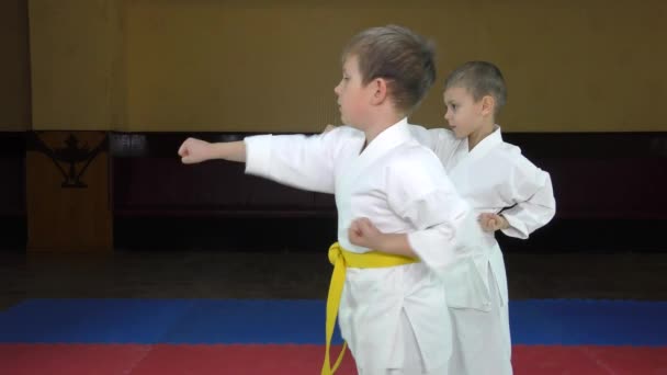 Dos Atletas Karategi Vencieron Postura Del Karate — Vídeos de Stock