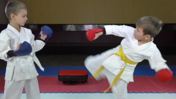 Два Спортсмена Тренируют Движения Удары Ногами — стоковое видео