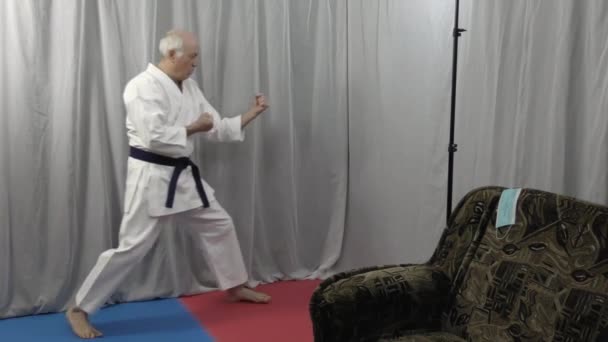 Insegnare Lezioni Karate Auto Isolamento — Video Stock