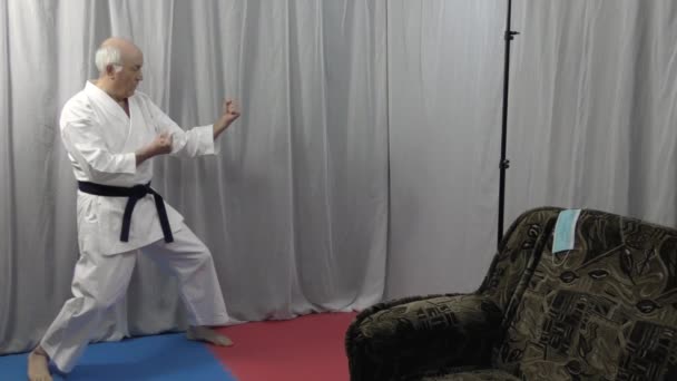 Képzés Karate Képzés Önelszigeteltségről — Stock videók