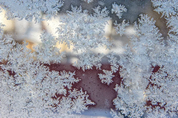 Beautiful texture pattern on frozen glass, natural beautiful snowflakes on frozen window in winter close up. Royalty Free Stock Images