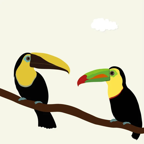 Deux oiseaux toucans sur une branche — Image vectorielle