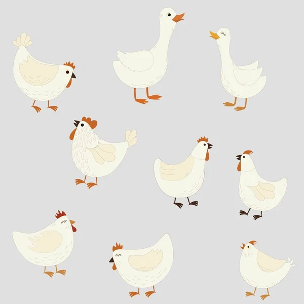 Set of cute cartoon farm birds — Stock Vector